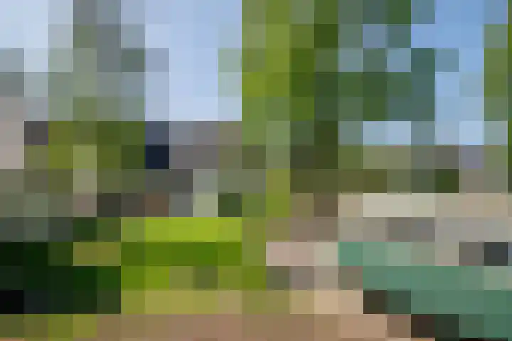 Achterweg 63 Ammerstol thumbnail 43