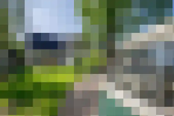 Achterweg 63 Ammerstol thumbnail 44