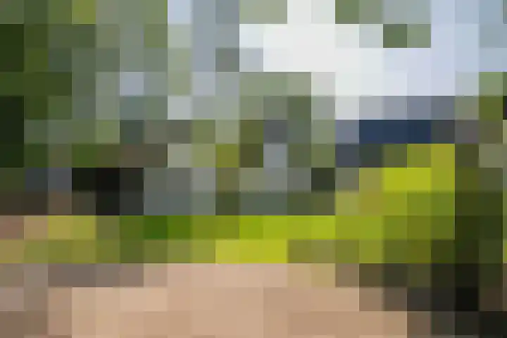 Achterweg 63 Ammerstol thumbnail 45