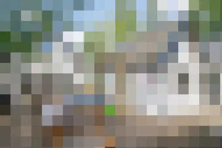Achterweg 63 Ammerstol thumbnail 48