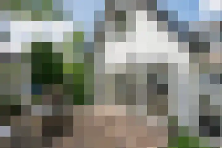 Achterweg 63 Ammerstol thumbnail 49