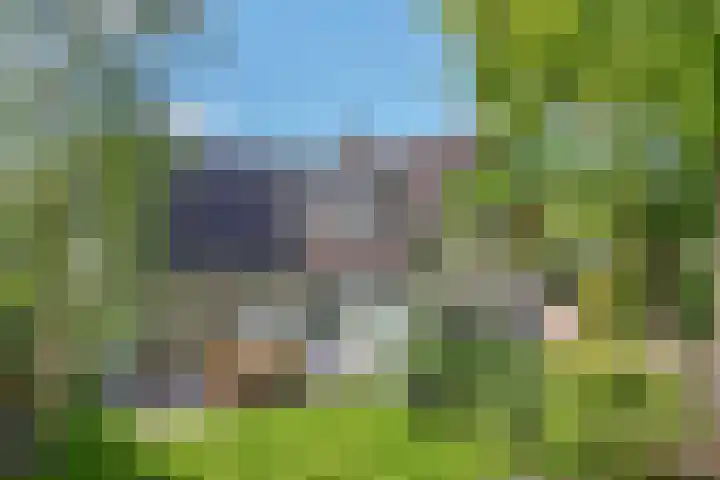 Achterweg 63 Ammerstol thumbnail 5