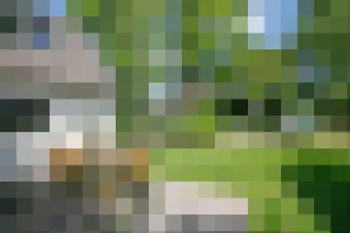 Achterweg 63 Ammerstol thumbnail 51