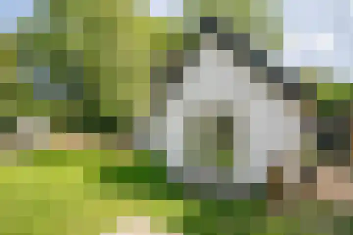Achterweg 63 Ammerstol thumbnail 52