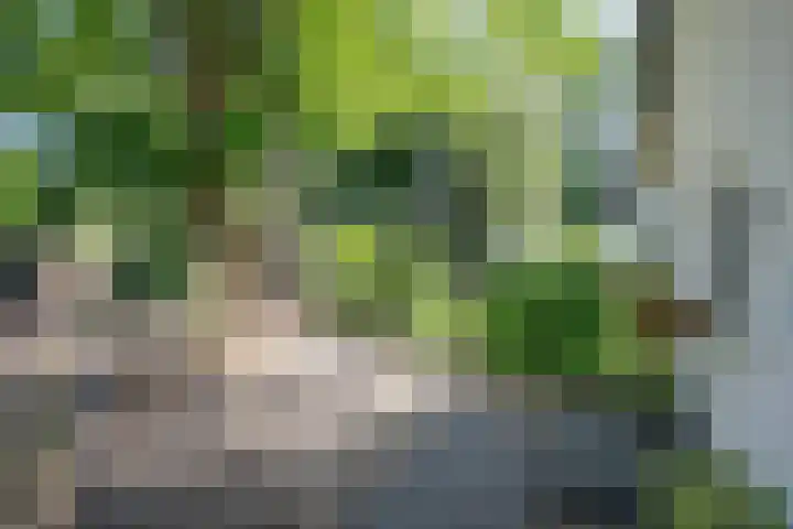 Achterweg 63 Ammerstol thumbnail 53