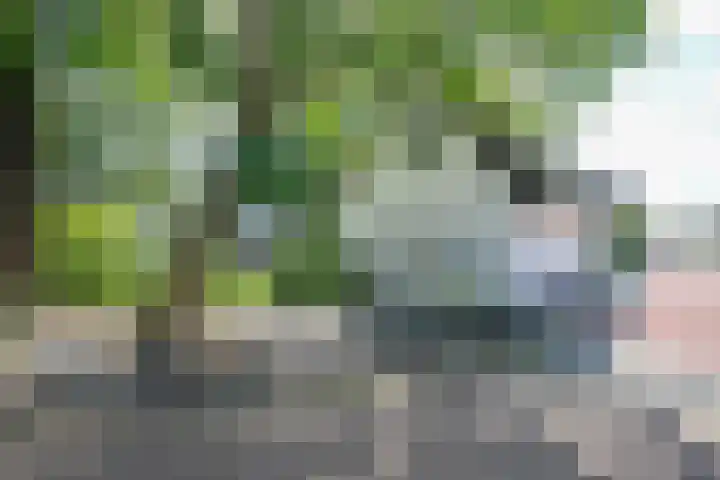 Achterweg 63 Ammerstol thumbnail 54