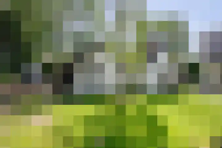 Achterweg 63 Ammerstol thumbnail 56
