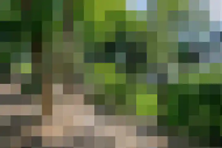 Achterweg 63 Ammerstol thumbnail 57