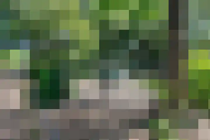 Achterweg 63 Ammerstol thumbnail 58