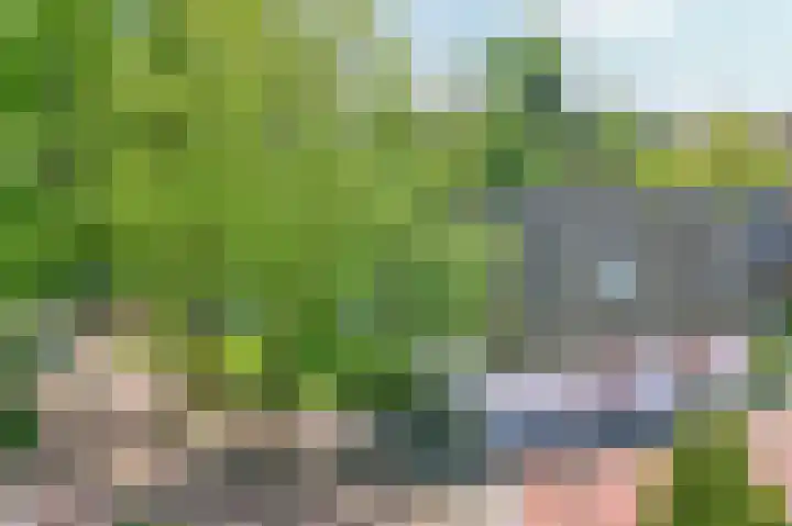 Achterweg 63 Ammerstol thumbnail 59