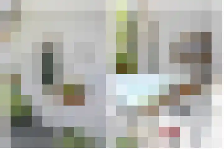 Achterweg 63 Ammerstol thumbnail 6