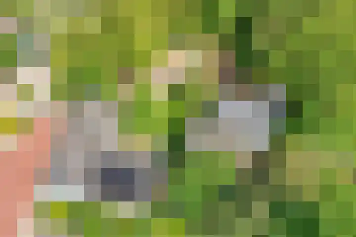 Achterweg 63 Ammerstol thumbnail 60