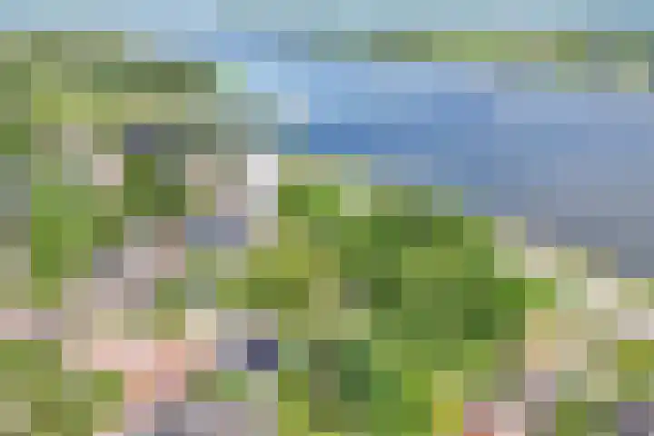 Achterweg 63 Ammerstol thumbnail 62