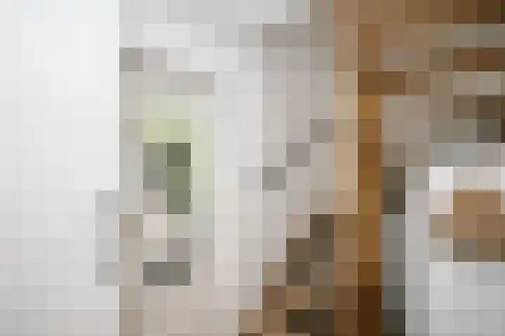 Achterweg 63 Ammerstol thumbnail 7