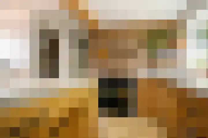 Achterweg 63 Ammerstol thumbnail 9