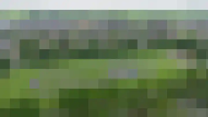 Achterweg 64 Genemuiden thumbnail 10