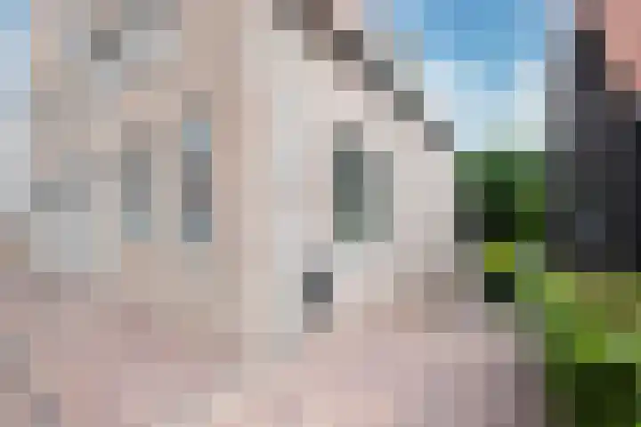 Achterweg 64 Genemuiden thumbnail 11