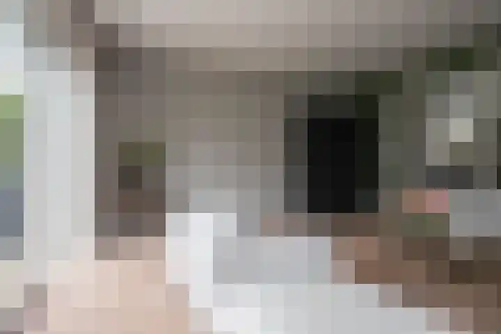 Achterweg 64 Genemuiden thumbnail 16