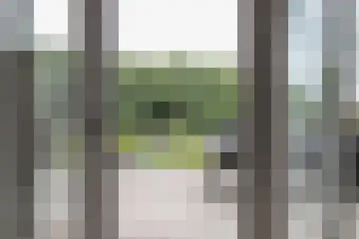 Achterweg 64 Genemuiden thumbnail 19