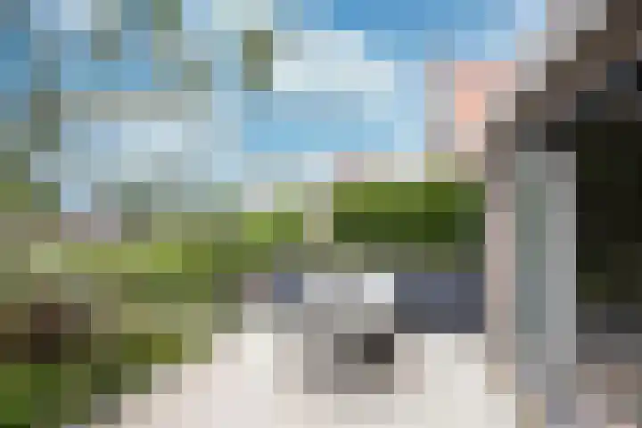 Achterweg 64 Genemuiden thumbnail 20