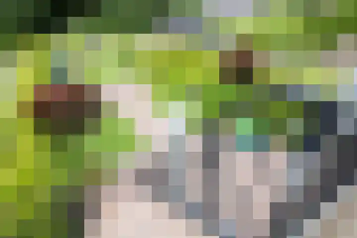 Achterweg 64 Genemuiden thumbnail 24