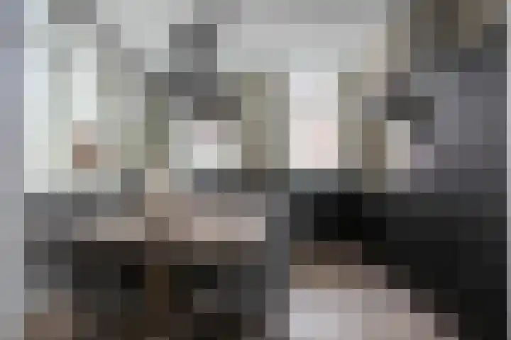 Achterweg 64 Genemuiden thumbnail 28