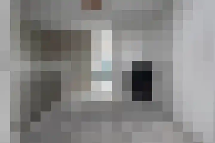 Achterweg 64 Genemuiden thumbnail 47