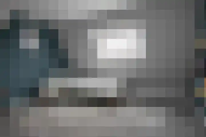 Achterweg 64 Genemuiden thumbnail 48