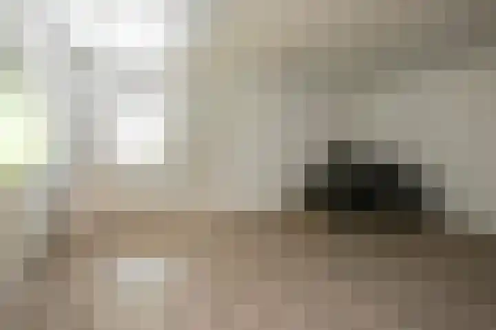 Achterweg 64 Genemuiden thumbnail 53