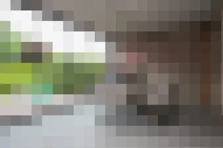 Achterweg 64 Genemuiden thumbnail 57