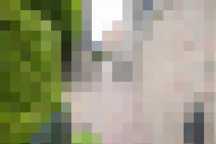 Achterweg 64 Genemuiden thumbnail 60