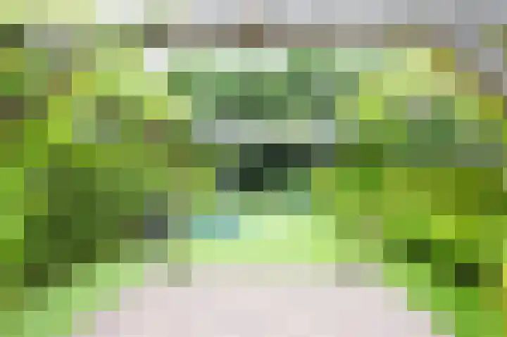 Achterweg 64 Genemuiden thumbnail 63