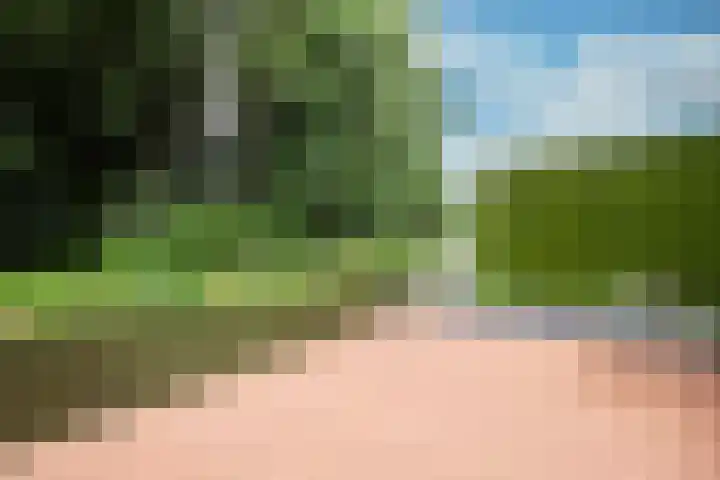 Achterweg 64 Genemuiden thumbnail 69