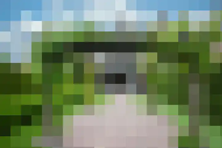 Achterweg 64 Genemuiden thumbnail 72