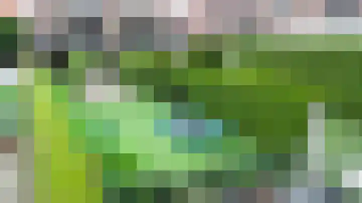 Achterweg 64 Genemuiden thumbnail 75