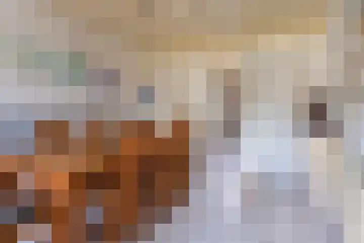 Achterweg 7 Hoofdplaat thumbnail 10