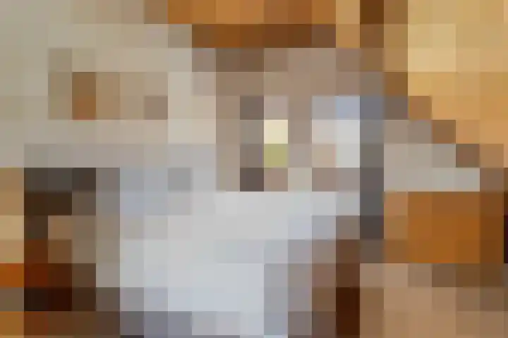 Achterweg 7 Hoofdplaat thumbnail 17