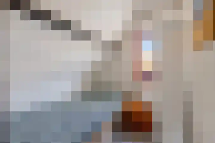 Achterweg 7 Hoofdplaat thumbnail 19