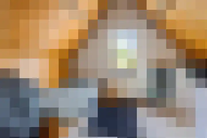 Achterweg 7 Hoofdplaat thumbnail 21