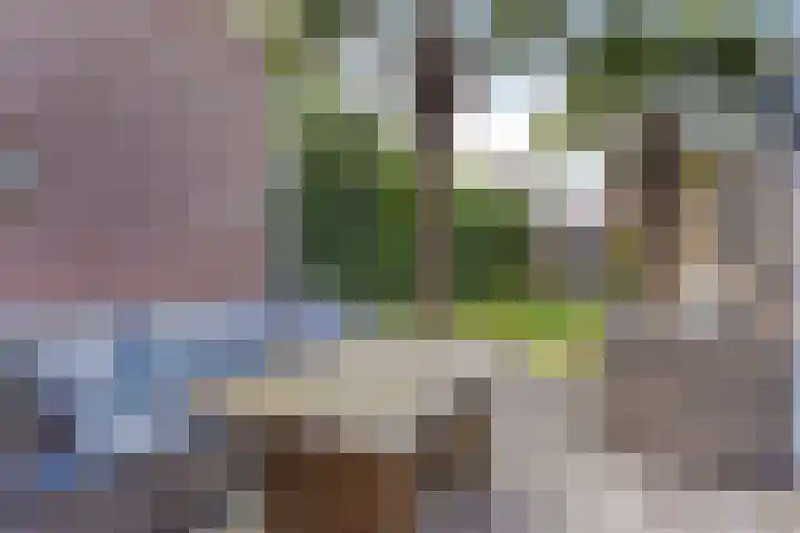 Achterweg 7 Hoofdplaat thumbnail 22