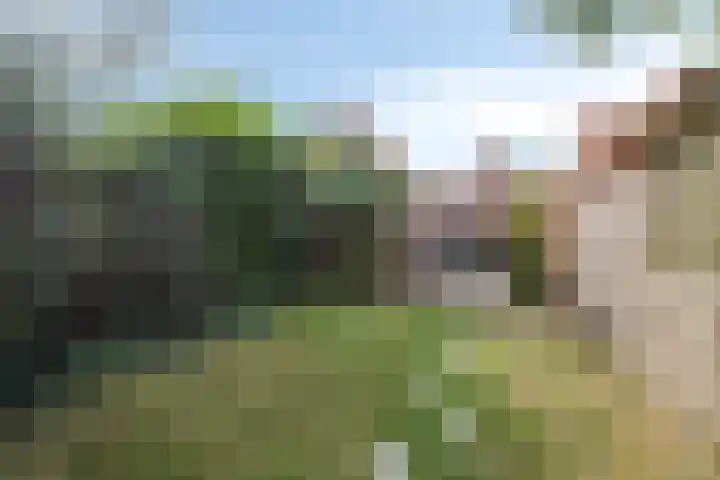 Achterweg 7 Hoofdplaat thumbnail 24