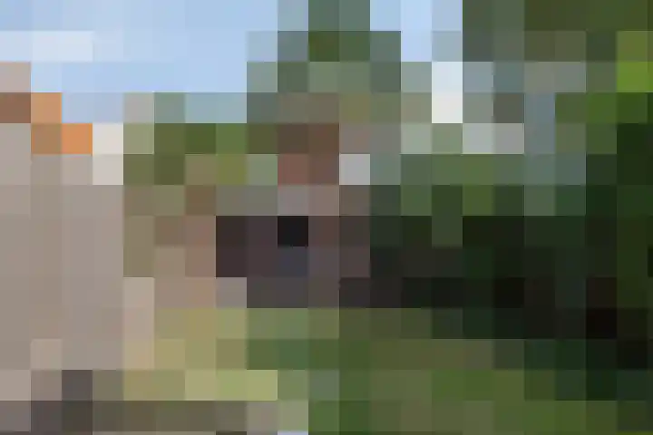 Achterweg 7 Hoofdplaat thumbnail 25