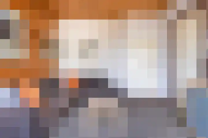 Achterweg 7 Hoofdplaat thumbnail 6
