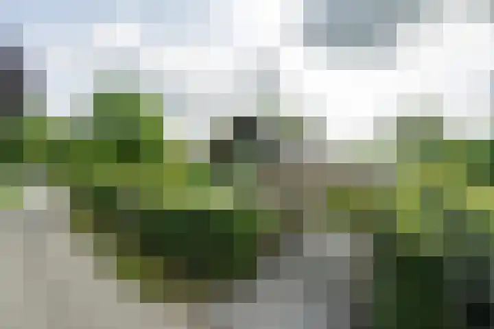 Achterweg 77 Acquoy thumbnail 10