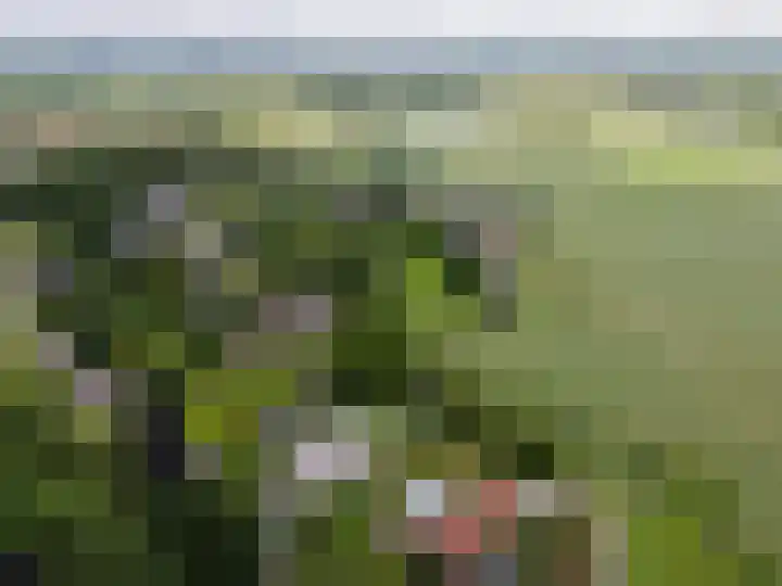 Achterweg 77 Acquoy thumbnail 100