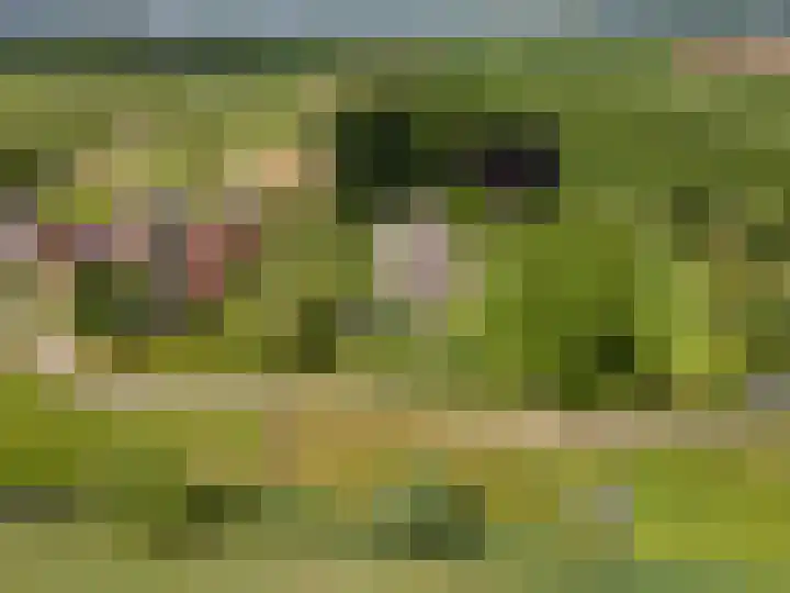 Achterweg 77 Acquoy thumbnail 103