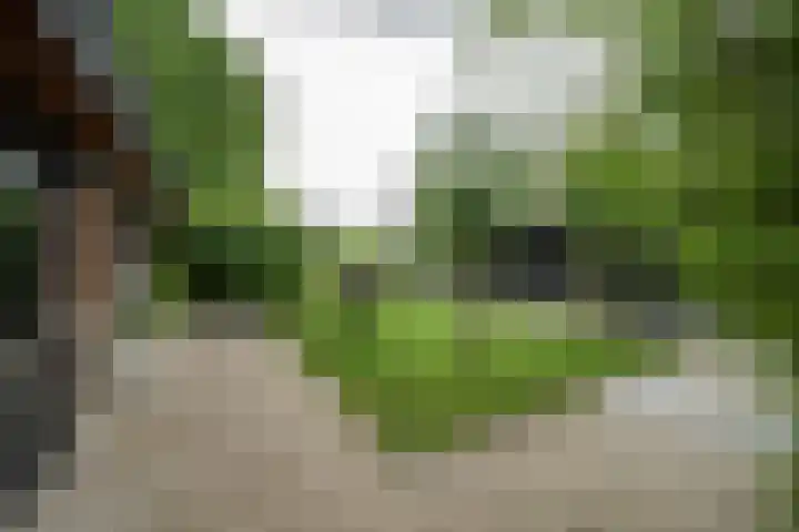 Achterweg 77 Acquoy thumbnail 15