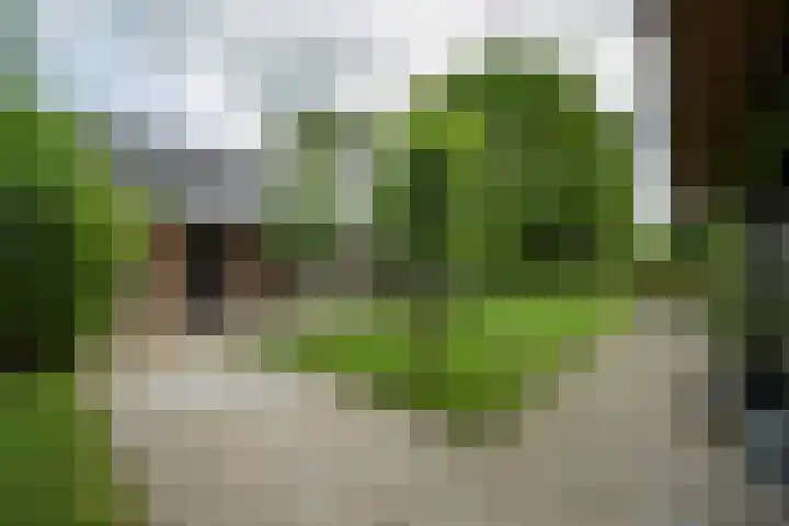 Achterweg 77 Acquoy thumbnail 16