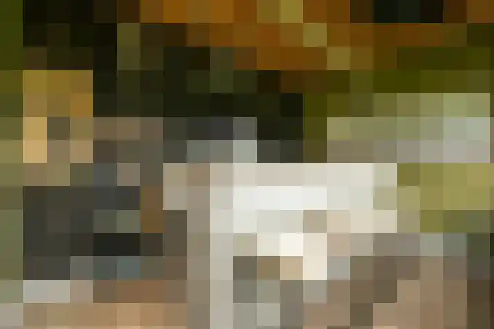 Achterweg 77 Acquoy thumbnail 27