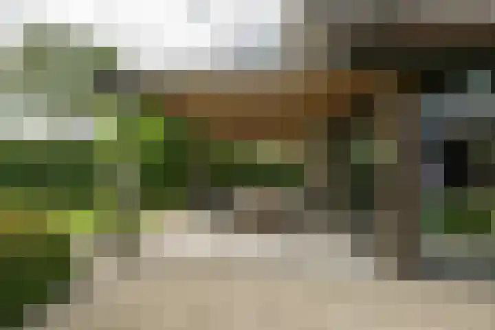 Achterweg 77 Acquoy thumbnail 31